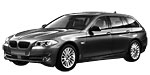 BMW F11 C217D Fault Code